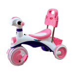 Akij Royal Rider Tricycle